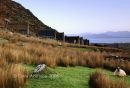 Cill Rialaig, Co.Kerry